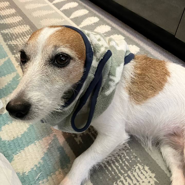 C5123ac9 92b5 482d b9c0 434f0720bf2f 1666394837704