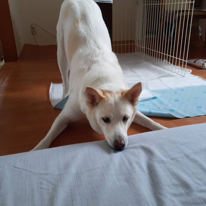 C5125eff 2e4a 4a7e b0c9 ebe965e858f5 1660455875532