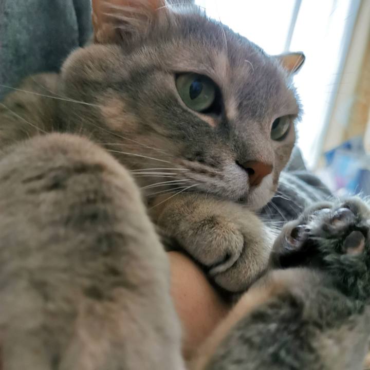 C512b567 9dcf 4158 b676 6e68e705cdc6 1677915519468