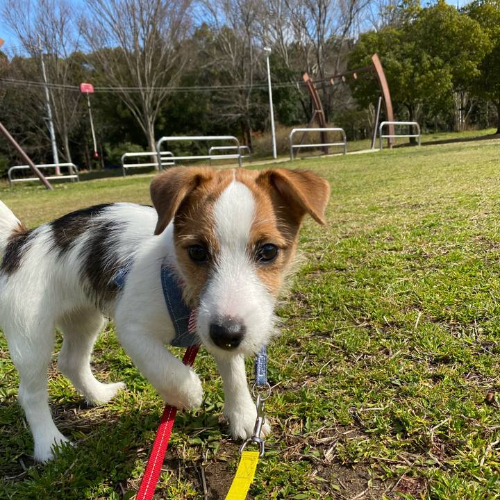 C512bc2f 0afe 4d50 bbc9 8ea1419670f0 1615004737780