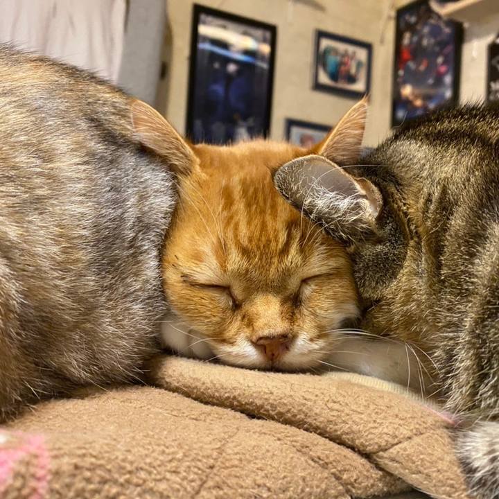 C512cade 72e6 4850 9b8e 8cb674466efa 1606414355769