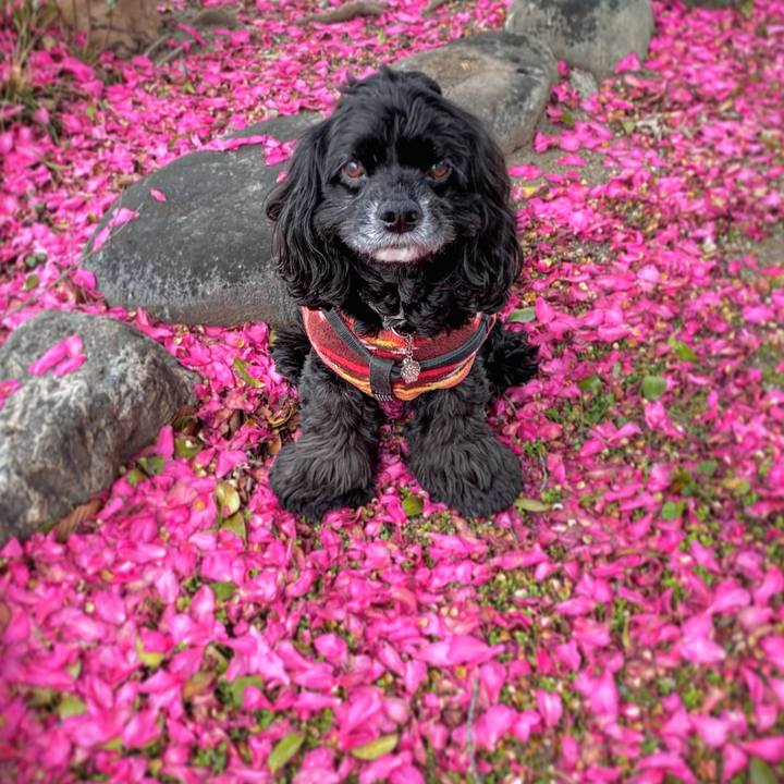 C512d7d9 b5ff 4e4d 90cf 8f556de0175e 1705562398473