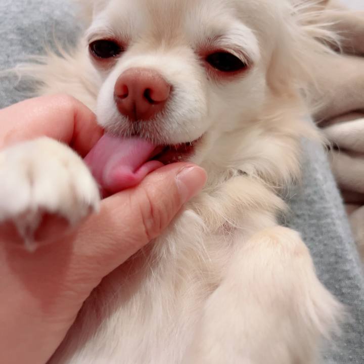 C512dc94 6e6e 4560 9211 7c7e35c864bc 1711458245161