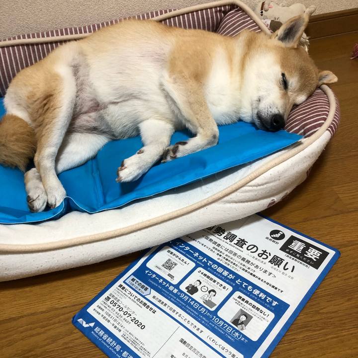 C512dd55 0f7a 4f8a a3bb d65ddf28f265 1600092342587