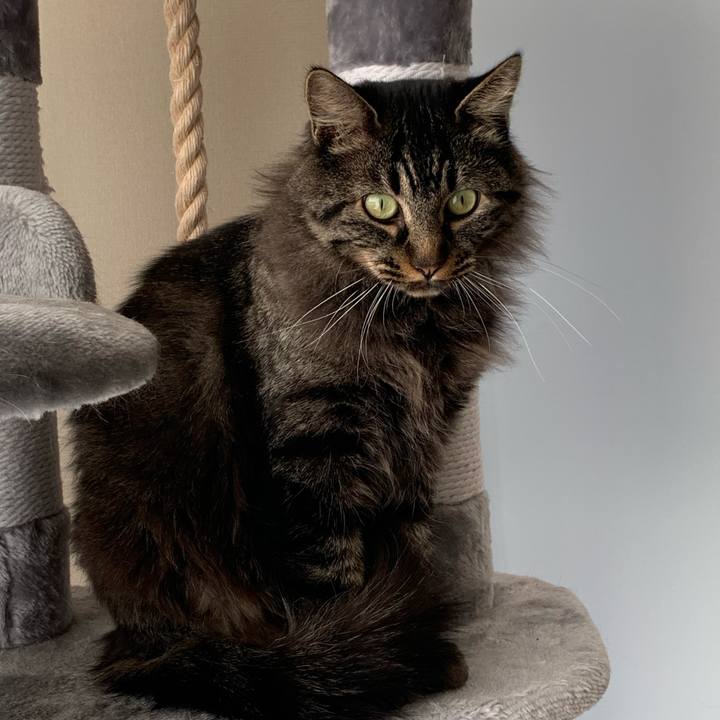 C512f23c 7c88 4d5a 8ef5 8b029b04e124 1668468613710