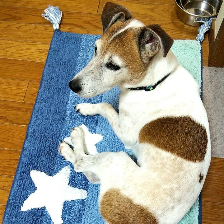 C513099e 960c 4d42 b559 b2d881bbd99c 1529382087167