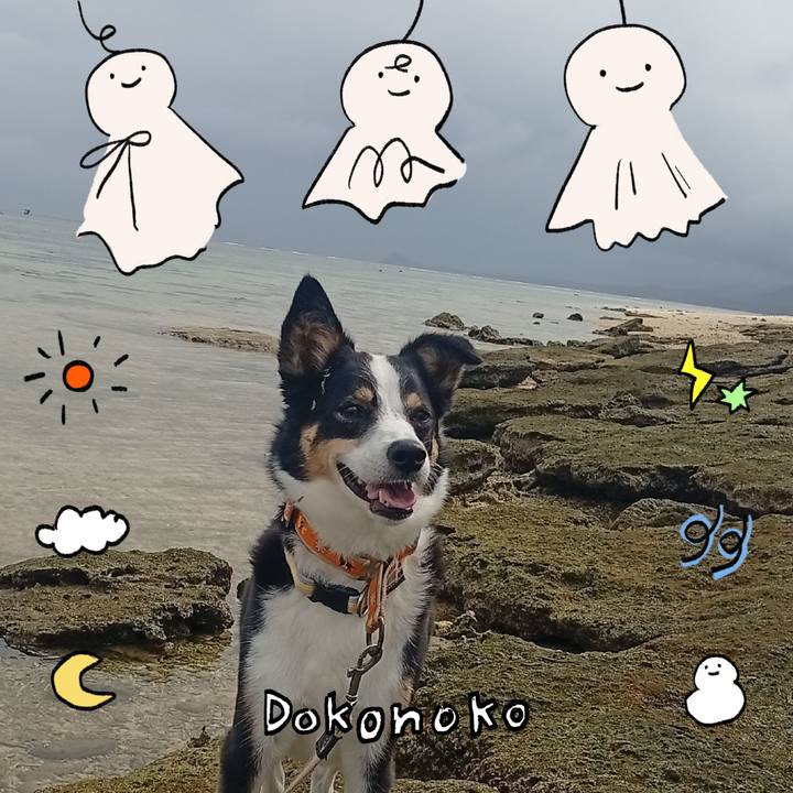 C5138531 66c4 4f76 b5b1 85da8b60c044 1749306843526