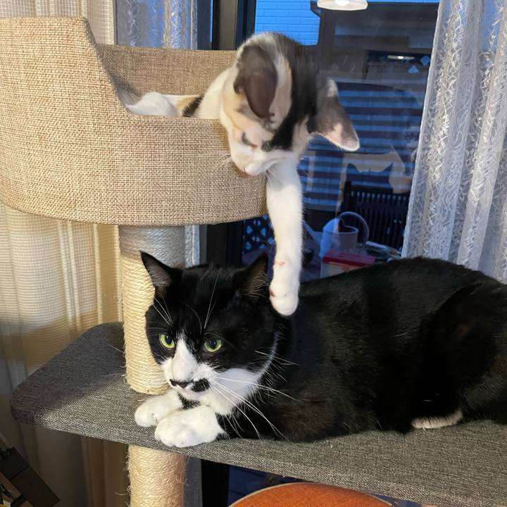 C513d3d4 98c7 47e1 87dc 3135e7534260 1660984692595