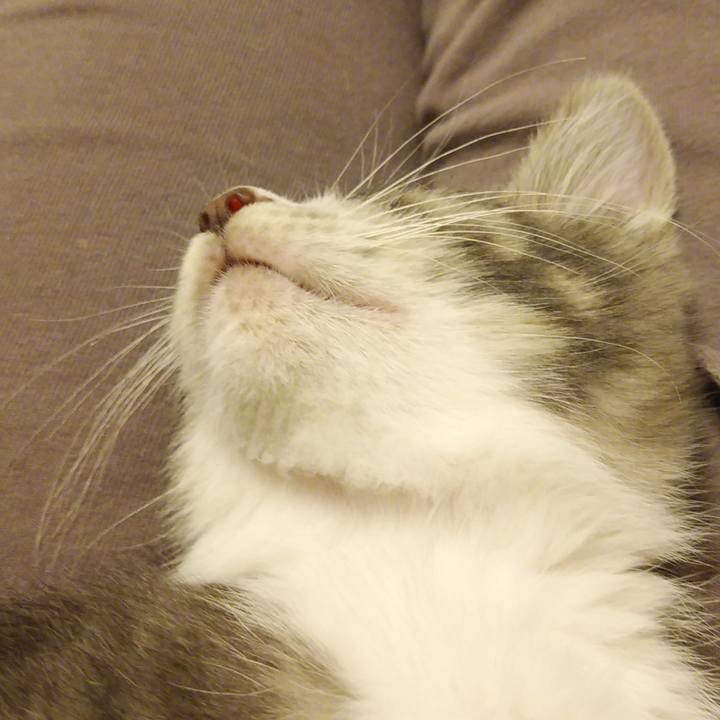 C513f82a c168 4e6e a090 5d8a753816df 1561217538440