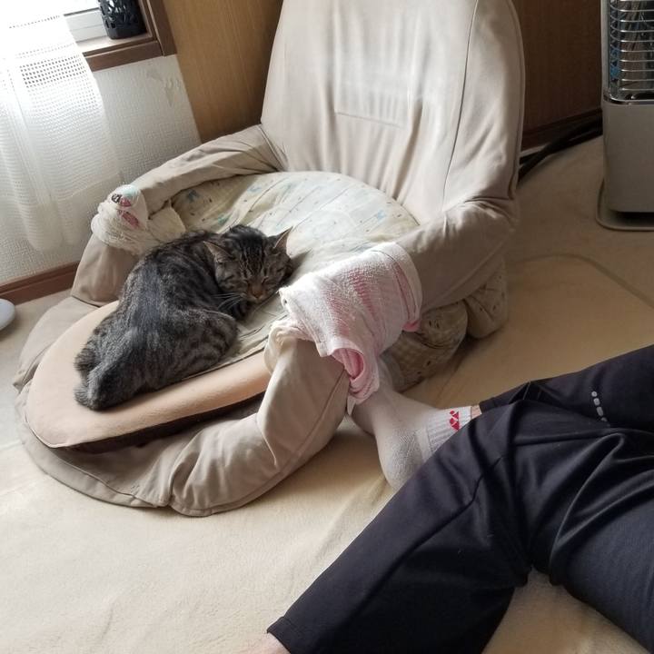 C513fb3d 900e 42dd 87ff 2b67555a61e6 1683808368064