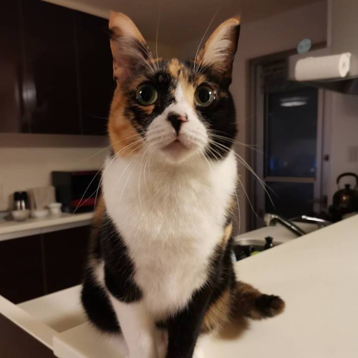 C5142137 3360 4654 be0c 17692cbb8d95 1641954232364