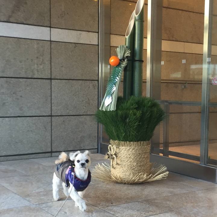 C5142740 c1ac 411a a27b d0829aa8427b 1514461053758