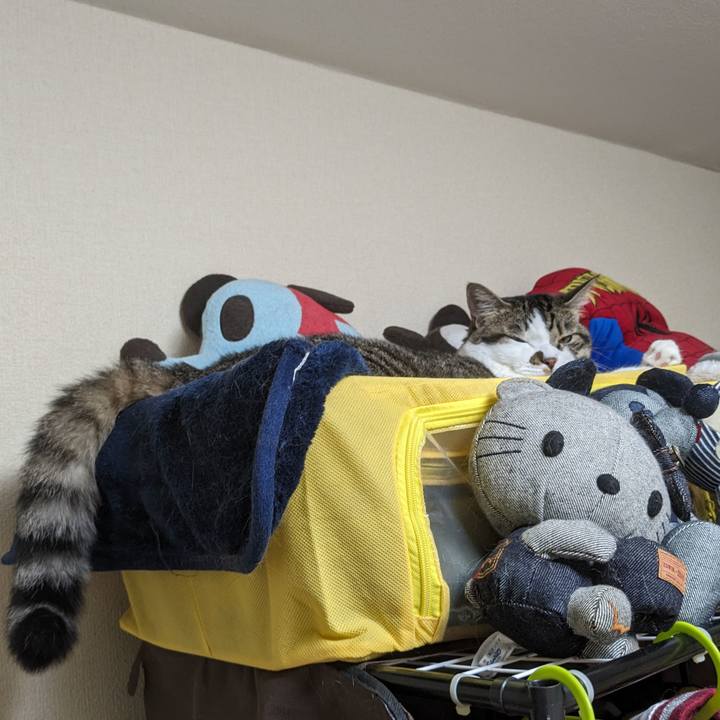 C51432f4 e317 4d24 9bcf 334a7db924a2 1694684641478