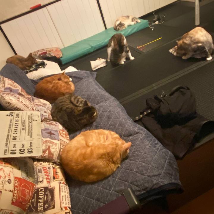 C5143666 1c7c 4e87 9e51 60f61e4eda98 1586540054378