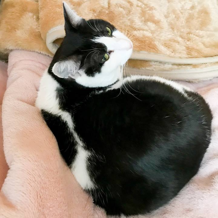 C5143fc5 c354 49b5 871d 809c17f36396 1521683446718