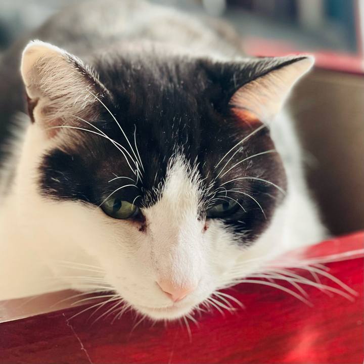 C51458ab 588d 4f05 8798 916323e05a44 1619229104633