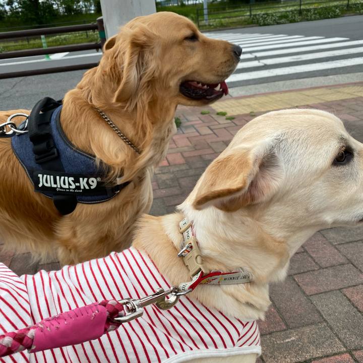 C51474eb 0fd9 4cb0 8033 e193803db952 1619846896659