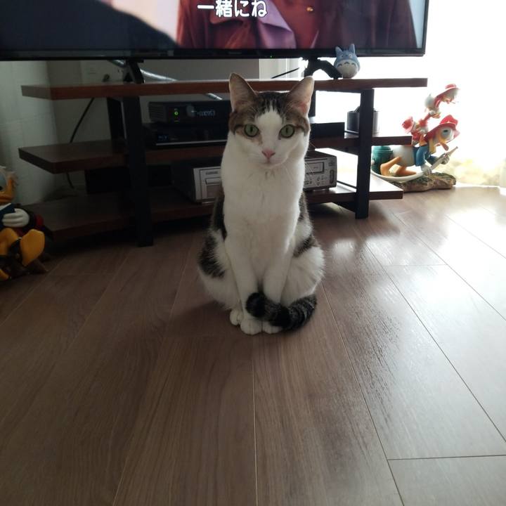 C5148593 1b2f 4638 a21c c72bbf5f8638 1584757162710