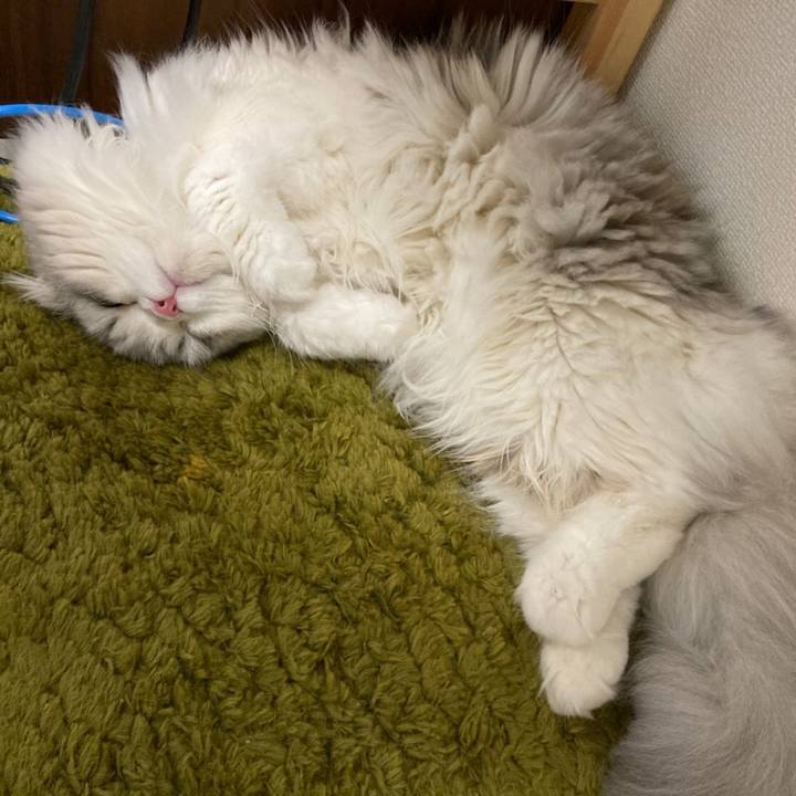 C514aa26 2671 4532 8d80 c8b913a7fec4 1608950647858