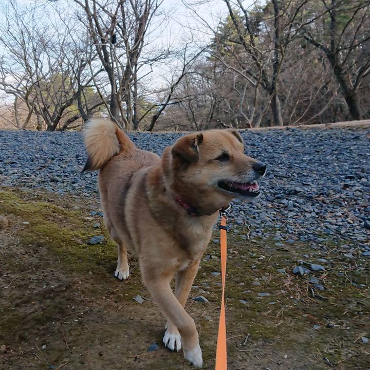 C51519df 3009 4a8c a6d5 b47abfa47095 1641132463672