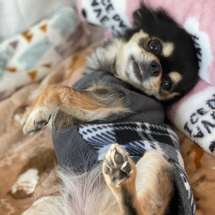 C5152407 7af2 49df ab10 0823b1f45bfd 1607643642716