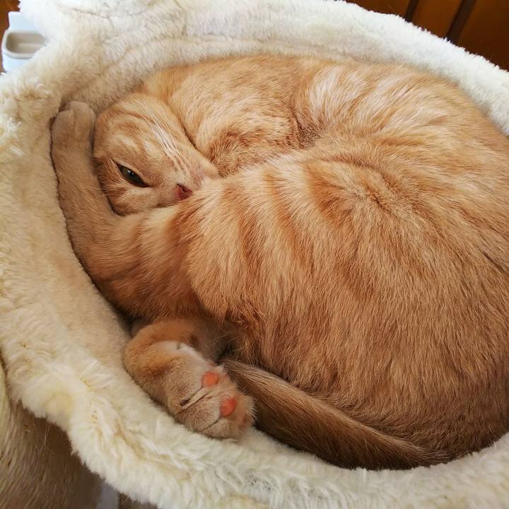 C5152dee 64cc 4e62 ab8c 788725af4a42 1593732520129