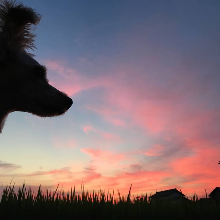 C5153036 7f9b 4c90 9afd 18d341dccfbf 1532521155907