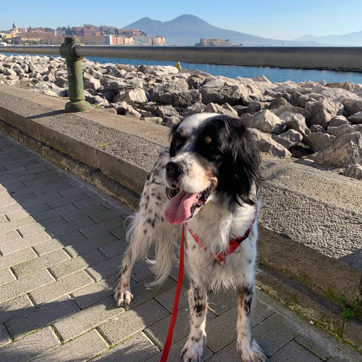 C5154a89 9ed7 476a ab4e e4a820a8e9f1 1768647688960