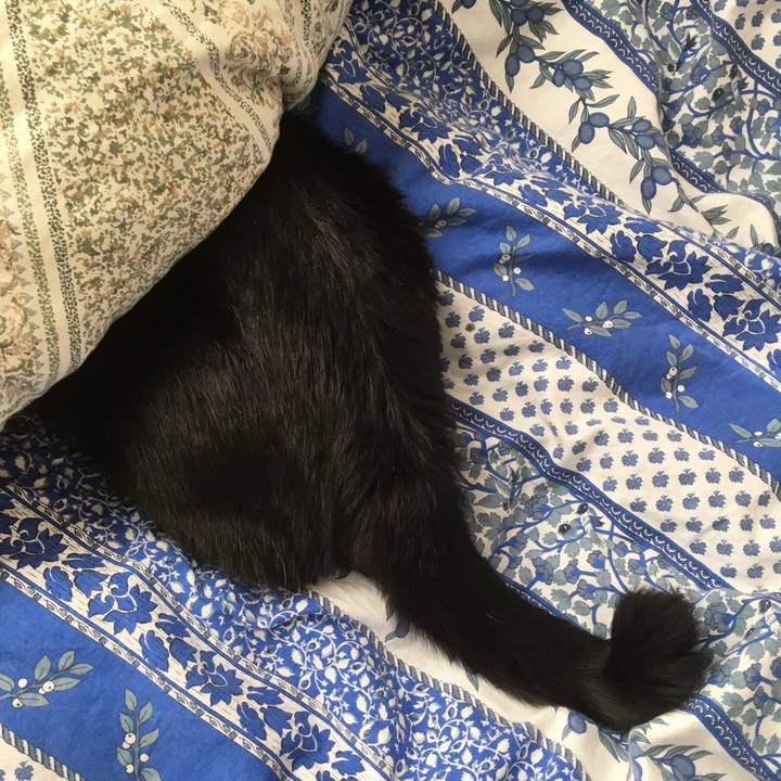 C5159f92 40cd 4b9b 86e8 6d91649fd4a2 1542939841347