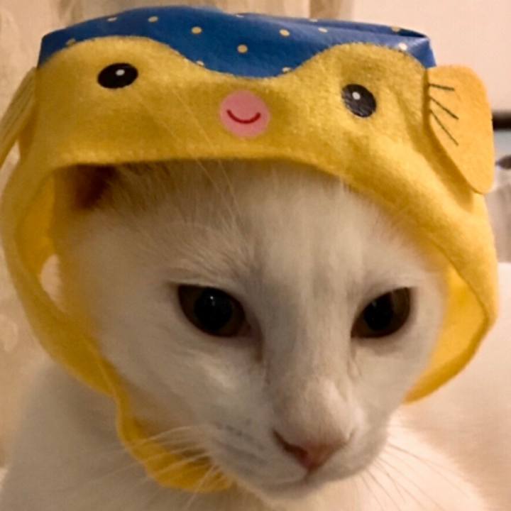 C515ad18 aa8b 4407 b41f b82fe62bee81 1570194200918