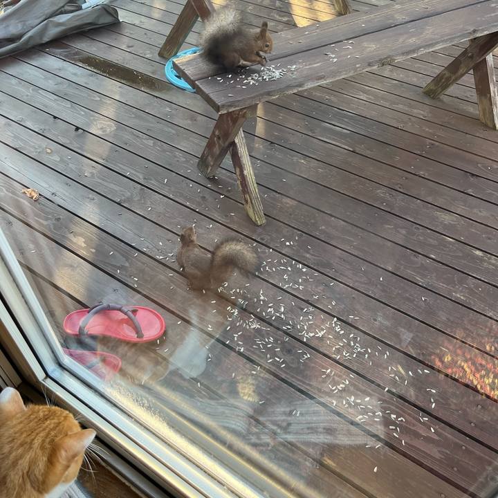 C515c1e1 2830 46c5 80d2 9e35c19c7c96 1695763780586