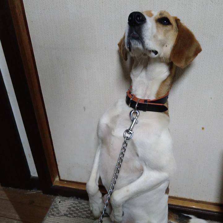 C515c9bd e738 4aa0 9741 de50a1f2c593 1624969679928