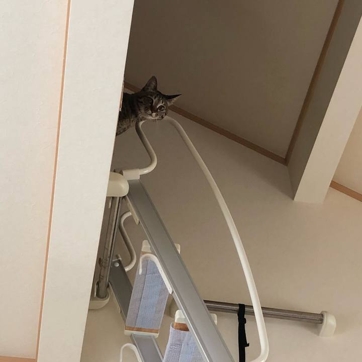 C515ed27 1dbd 4bb5 b59f 12b4b2d9846e 1526528587115