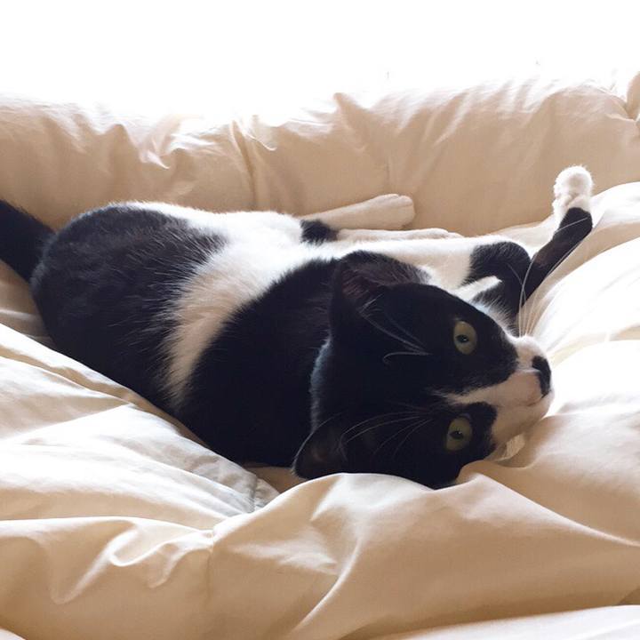 C516070f 351a 4d94 b776 9a12e86142e5 1528085897792