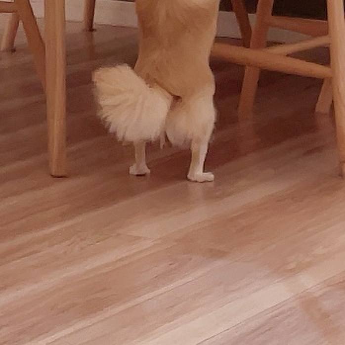 C5163949 4955 45da b545 bf93bf1c039f 1719923300594