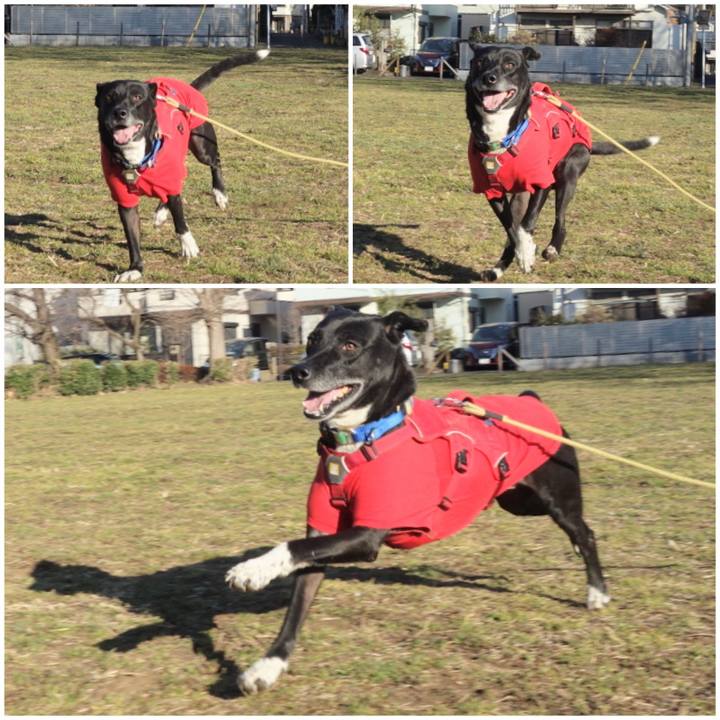 C516531e 715f 40c3 9acd aed9b3b7a8b8 1675913065327