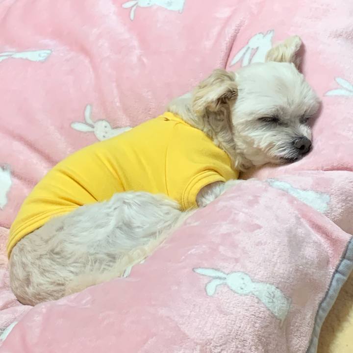 C5167f05 ab10 4b7d 82c1 b2ca2169d74d 1609241551383