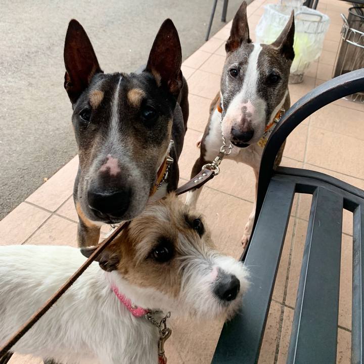 C5168f43 fd04 4047 bb93 21610136d622 1590240944419