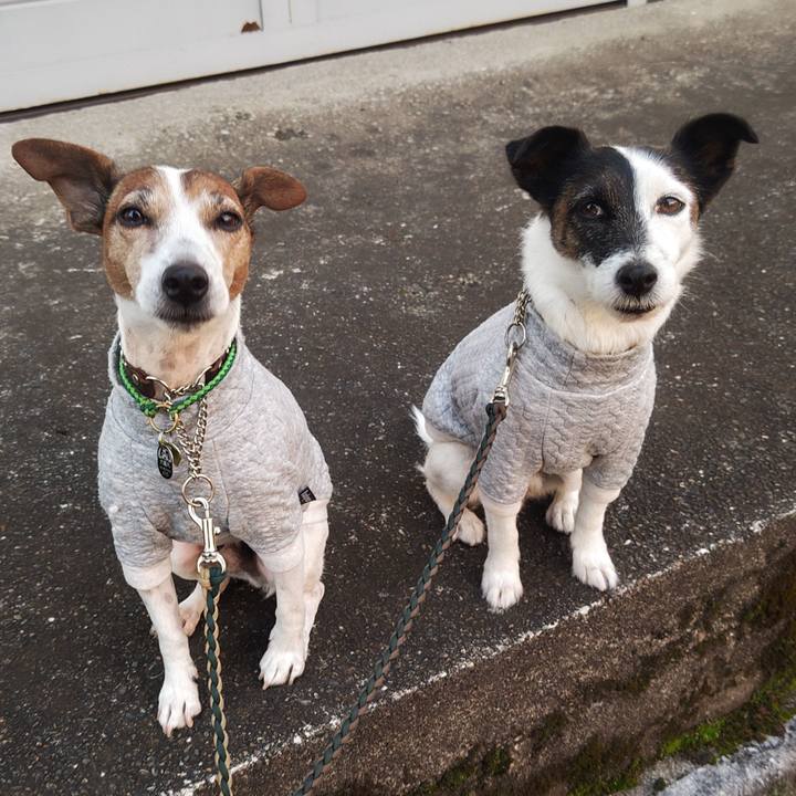 C5168f98 ea0f 4d93 921e 4dde6d7ff905 1764193922192