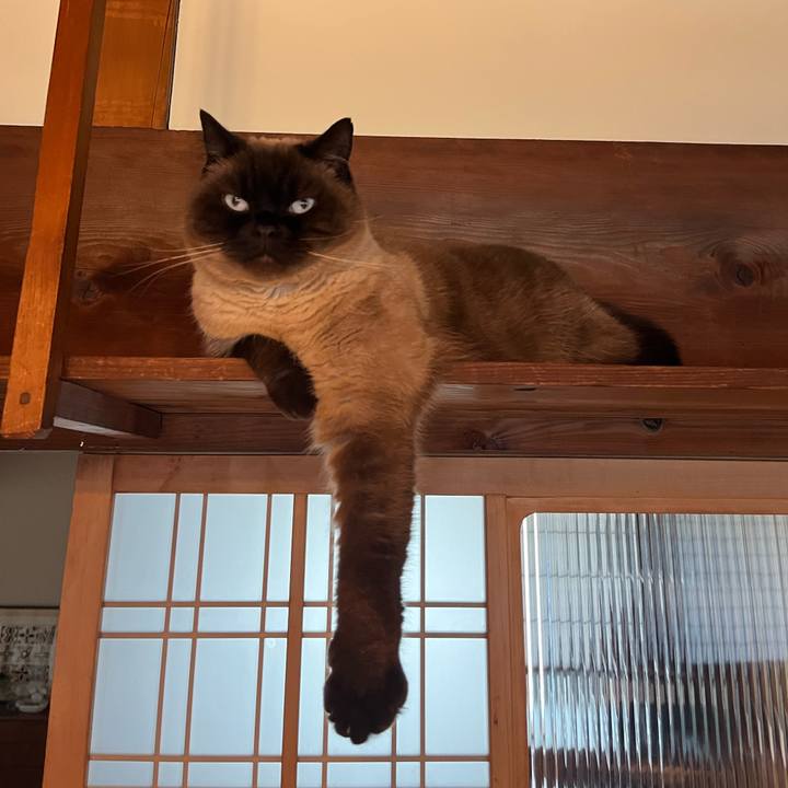 C516a639 1904 4171 946b 67536b9cfa3e 1710481074940