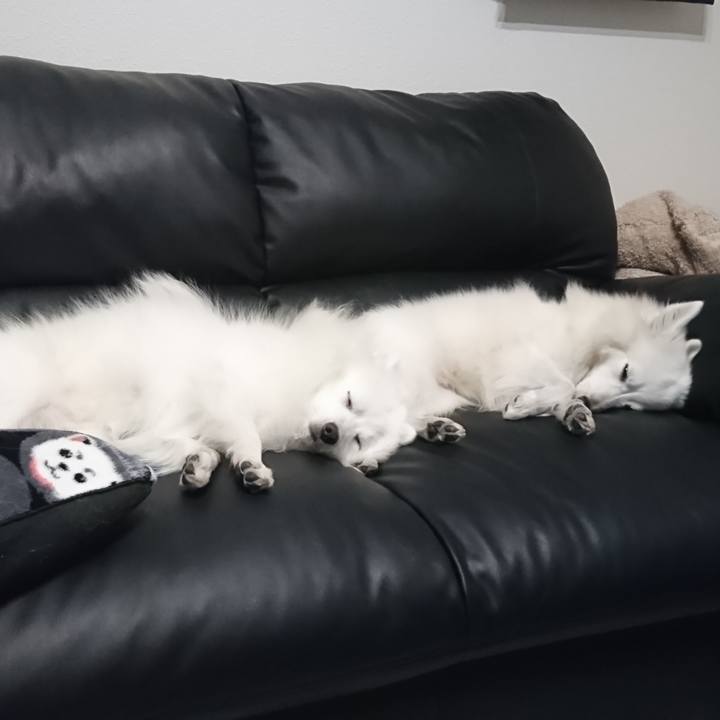 C516c6a1 edc6 406b 820e c31f3e4518a1 1579689923975