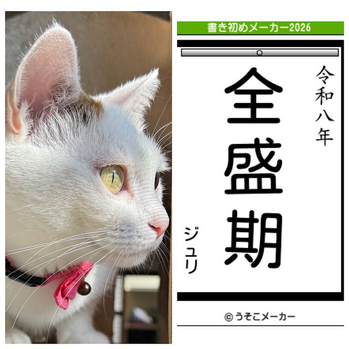 C51716a5 bd2c 4a71 90f4 fb283846170a 1767491129862