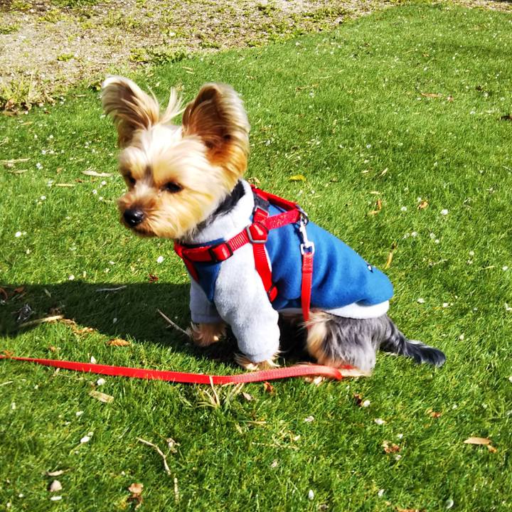 C5174de2 ef28 450f 8573 b35f0bb76509 1615083681333