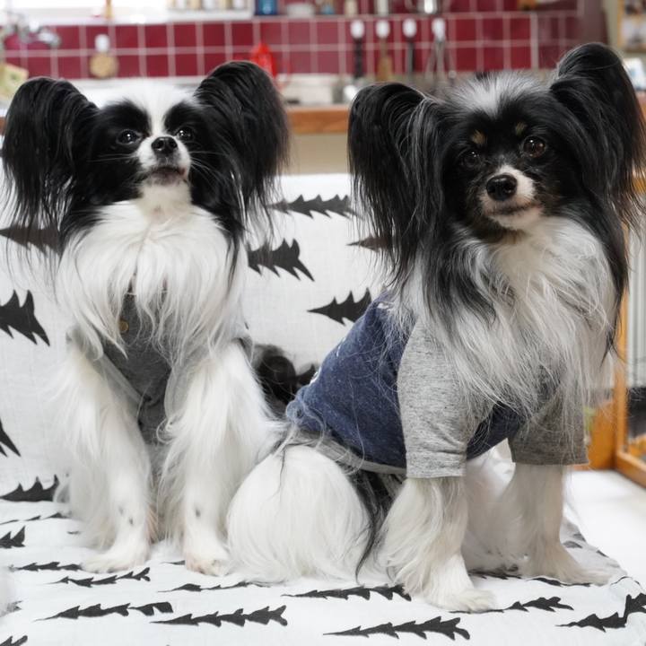 C5175b29 e57d 44e6 9188 5de7bd9dce5f 1651299170965