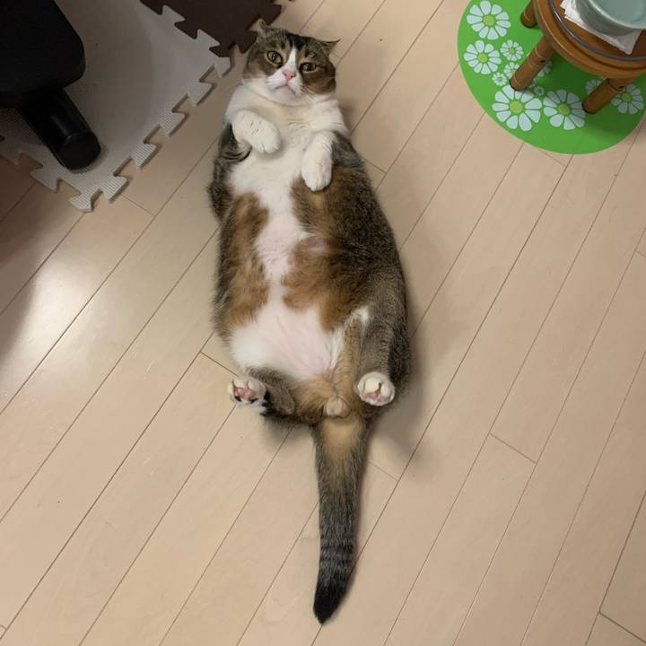 C5175d78 1c84 4ab8 ac64 da51edeaeb60 1609414977351