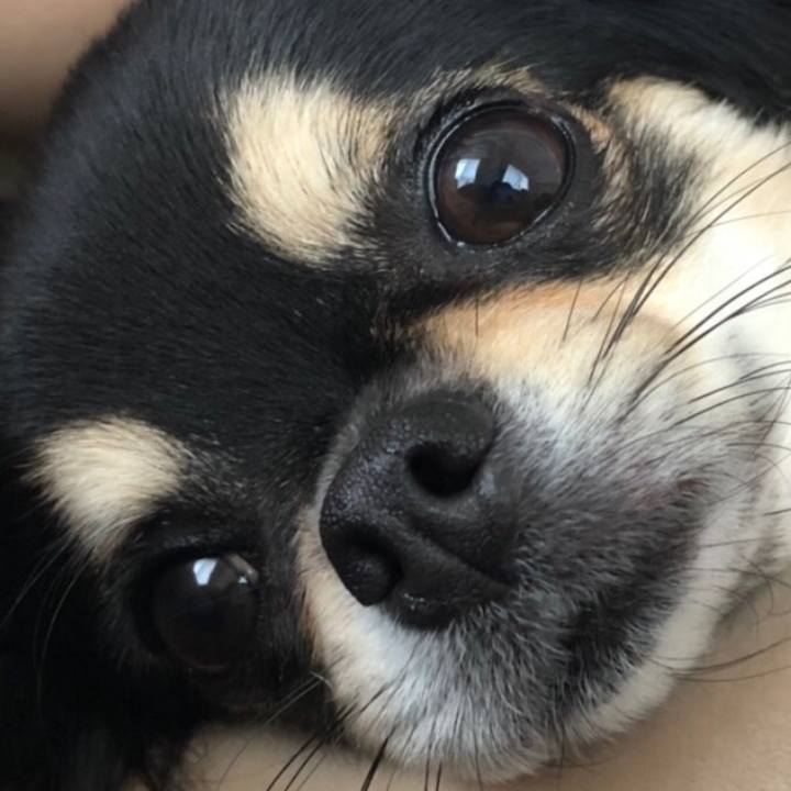 C5178366 774f 495e 8f9e 27c75ba8d7e4 1599302076789