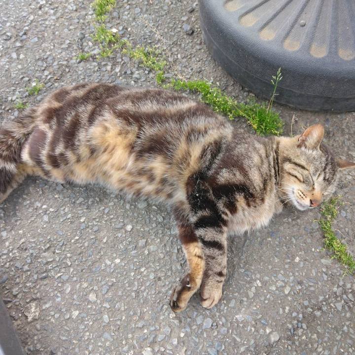 C5179abe df1b 4f10 a19b 12a705ab6f95 1683879593106