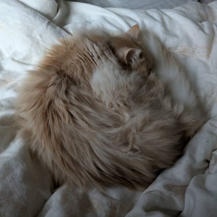 C5179fcb 6835 461f b33a 57a22760fadb 1744511660422