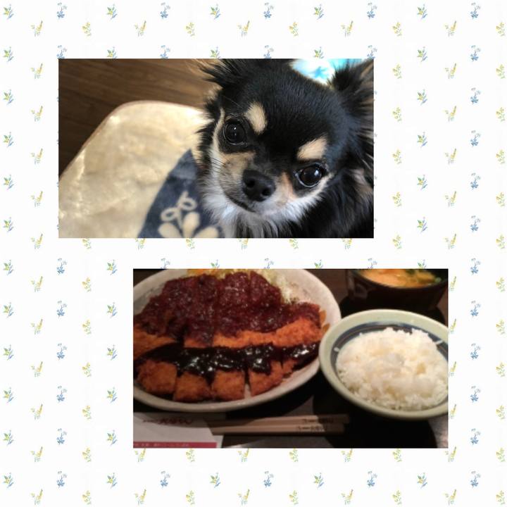 C517b0c6 de86 4dc4 8a0e 1a4e67ab57af 1549786137799