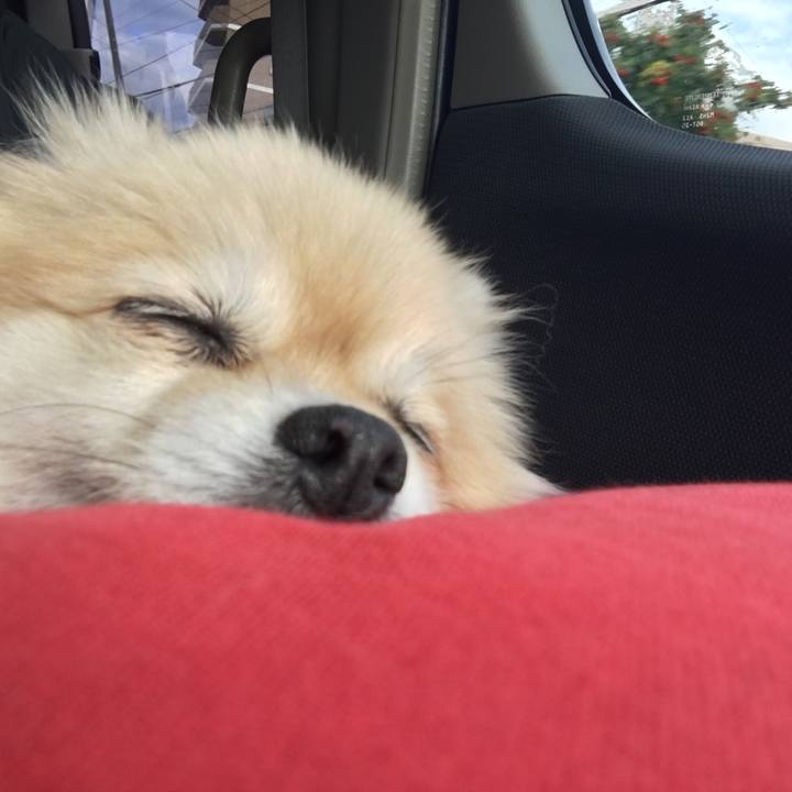 C517b7e2 9bb2 435d 96c6 8df5c4826871 1571440841189